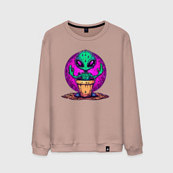 Свитшот хлопковый мужской Кактус - инопланетянин, цвет: пыльно-розовый