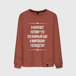 Мужской свитшот Я каратист потому что это важный шаг