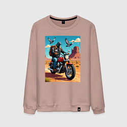 Мужской свитшот Голубь байкер