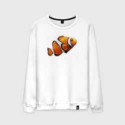 Мужской свитшот Рыбка попугай