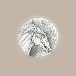 Свитшот хлопковый мужской Черепа лошадей, цвет: миндальный — фото 2