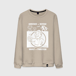 Свитшот хлопковый мужской Поверхность никогда - убежище навсегда, цвет: миндальный