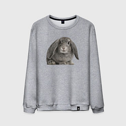 Свитшот хлопковый мужской Серый пушистый кролик, цвет: меланж