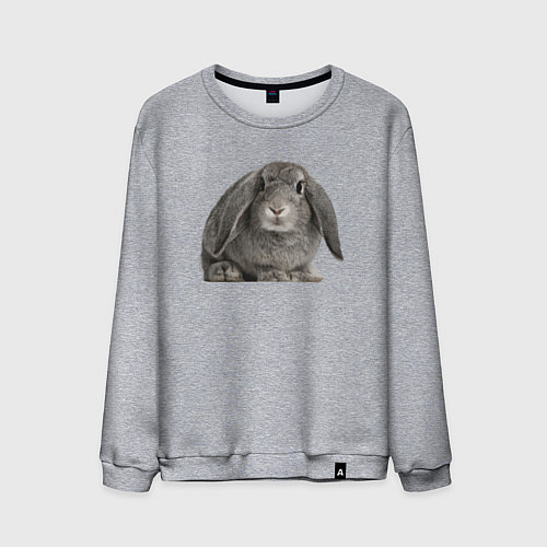 Мужской свитшот Серый пушистый кролик / Меланж – фото 1