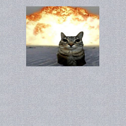 Свитшот хлопковый мужской Кот со взрывом - silly cat meme, цвет: меланж — фото 2