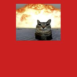 Свитшот хлопковый мужской Кот со взрывом - silly cat meme, цвет: красный — фото 2