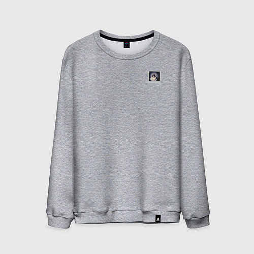 Мужской свитшот Панк кот / Меланж – фото 1