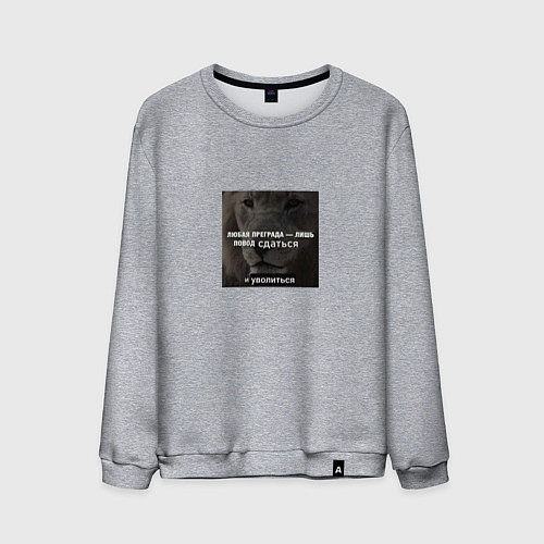 Мужской свитшот Любая преграда / Меланж – фото 1