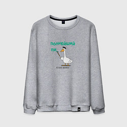 Свитшот хлопковый мужской Полнейший пикник и гусь с кисточкой, цвет: меланж