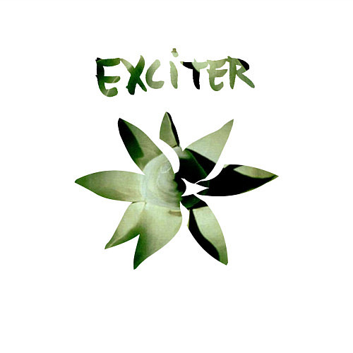 Мужской свитшот Depeche Mode - Exciter Flower / Белый – фото 3