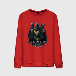 Мужской свитшот Голуби Икс