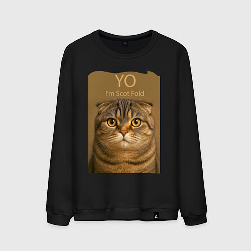 Мужской свитшот Yo - Im Scottish Fold / Черный – фото 1