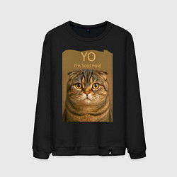 Мужской свитшот Yo - Im Scottish Fold