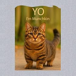 Свитшот хлопковый мужской Yo - Im Munchkin, цвет: меланж — фото 2