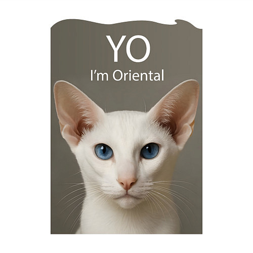 Мужской свитшот Yo - Im Oriental / Белый – фото 3