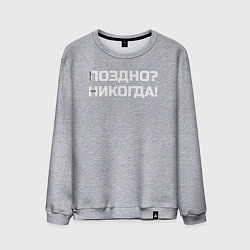 Свитшот хлопковый мужской Лучше поздно чем никогда белый, цвет: меланж