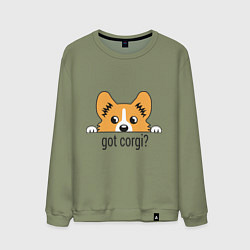 Мужской свитшот Got Corgi