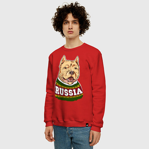 Мужской свитшот Made in Russia: собака / Красный – фото 3