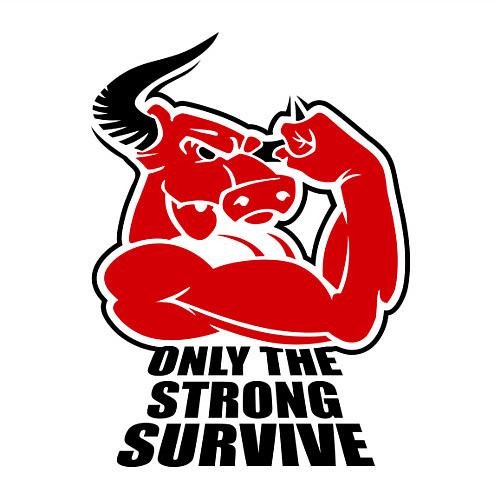 Мужской свитшот Only the strong survive / Белый – фото 3