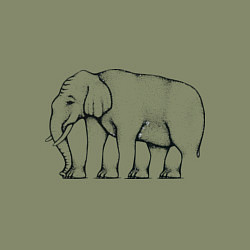 Свитшот хлопковый мужской Сколько ног у слона, цвет: авокадо — фото 2