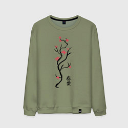 Мужской свитшот Весна. Любовь