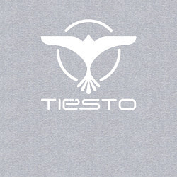 Свитшот хлопковый мужской Tiesto, цвет: меланж — фото 2