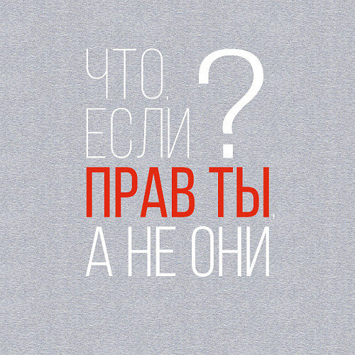 Мужской свитшот Что, если прав ты, а не они? / Меланж – фото 3