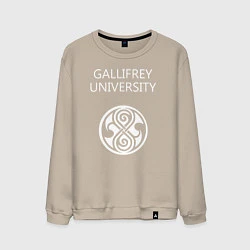 Свитшот хлопковый мужской Galligrey University, цвет: миндальный