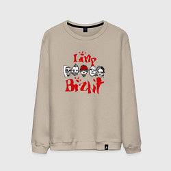 Свитшот хлопковый мужской Limp Bizkit Faces, цвет: миндальный