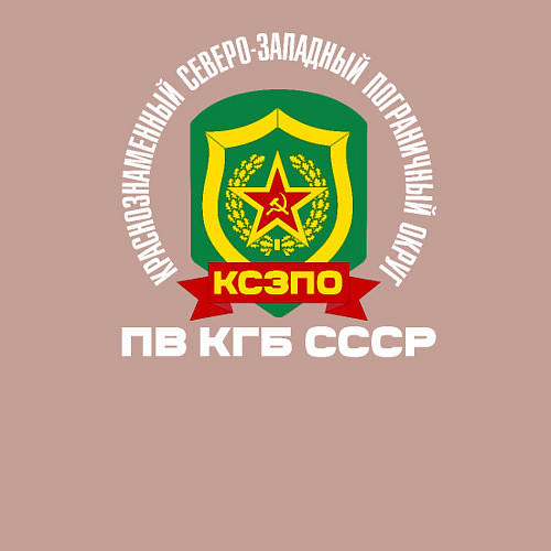 Мужской свитшот КСЗПО СССР / Пыльно-розовый – фото 3