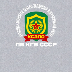 Свитшот хлопковый мужской КСЗПО СССР, цвет: меланж — фото 2