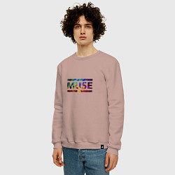 Свитшот хлопковый мужской Muse Colour, цвет: пыльно-розовый — фото 2