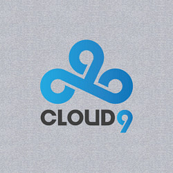 Свитшот хлопковый мужской Cloud9, цвет: меланж — фото 2
