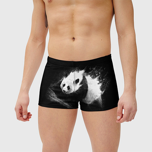 Мужские плавки Молочная панда / 3D-принт – фото 3