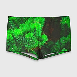 Мужские плавки Зелёная ель, цвет: 3D-принт