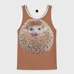 Майка-безрукавка мужская Ежик в клубочке, цвет: 3D-белый