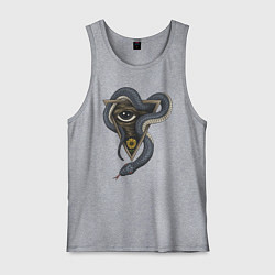 Майка мужская хлопок Иллюминаты, цвет: меланж