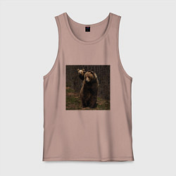 Майка мужская хлопок Медведи гуляют по лесу, цвет: пыльно-розовый