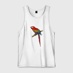 Майка мужская хлопок Попугай ara macaw, цвет: белый