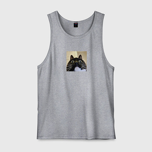 Мужская майка Видеозвонок с котом парный мем / Меланж – фото 1