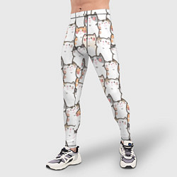 Тайтсы мужские Кошки котики коты, цвет: 3D-принт — фото 2