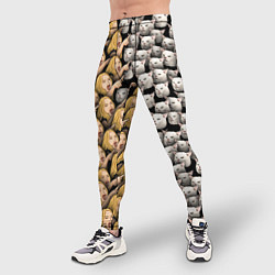 Тайтсы мужские Девушки орут на котиков, цвет: 3D-принт — фото 2