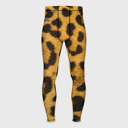 Тайтсы мужские Леопард, цвет: 3D-принт