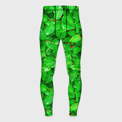 Тайтсы мужские Зелёные листья - текстура, цвет: 3D-принт