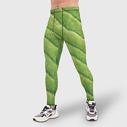Тайтсы мужские Травяной паттерн, цвет: 3D-принт — фото 2