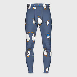 Тайтсы мужские Забавное семейство пингвинов, цвет: 3D-принт