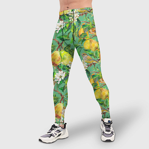 Мужские тайтсы Груши и птицы / 3D-принт – фото 3