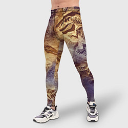Тайтсы мужские Окаменелые динозавры, подарок для палеонтолога, цвет: 3D-принт — фото 2