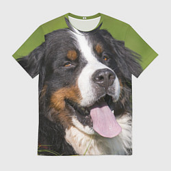 Футболка мужская Бернский зенненхунд, цвет: 3D-принт