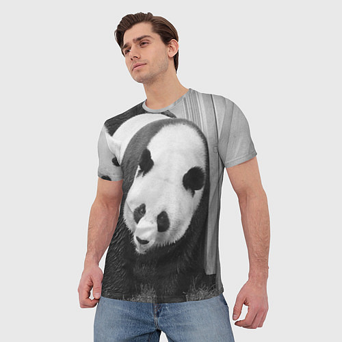 Мужская футболка Большая панда / 3D-принт – фото 3